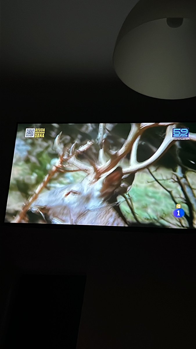 RubenFernandez_'s tweet photo. Ojala los animales peten los medidores de audiencia #LaRevueltaTVE  queremos mas animales y menos a motos https://t.co/DEI4ixb6CM