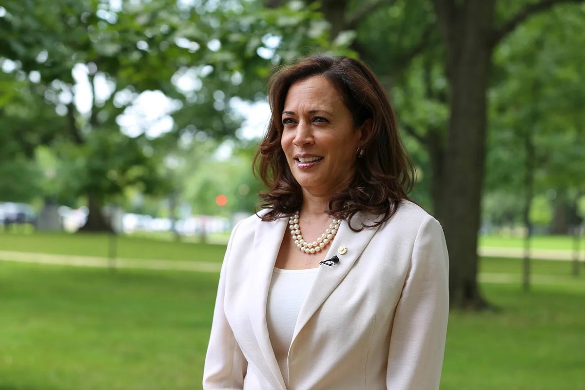 bluhue123's tweet image. Drop a 💙 if you voted for Kamala