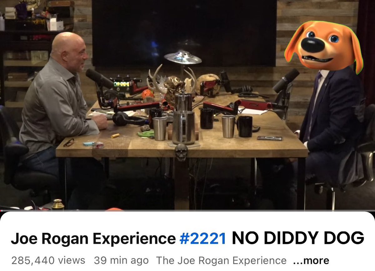 No Diddy Dog tweet media