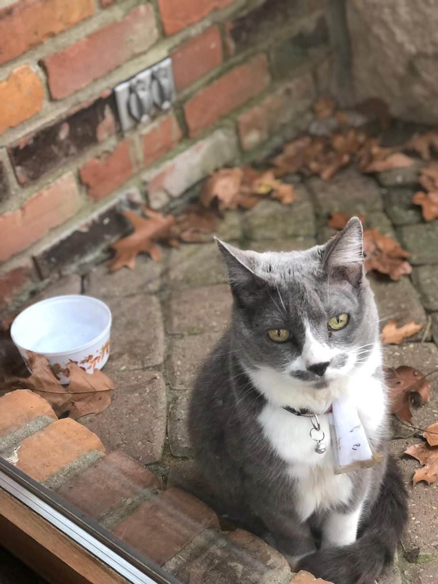 Erika Ernst (@ernsterika) on Twitter photo A healthy home includes our furry housemates. Keep up with your pet's vaccines, deworming and flea and tick control. Talk to your veterinarian or pharmacist about only using antibiotics when necessary #USAAW24 #BeAntibioticsAwareIA #OneHealth <a href="/IowaHHS/">Iowa Department of Health and Human Services</a> A healthy home includes our furry housemates. Keep up with your pet's vaccines, deworming and flea and tick control. Talk to your veterinarian or pharmacist about only using antibiotics when necessary #USAAW24 #BeAntibioticsAwareIA #OneHealth <a href="/IowaHHS/">Iowa Department of Health and Human Services</a>