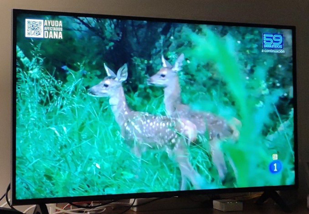 Hoy se ha hecho historia en la TV. 
Broncano sin filtro y contando una sinvergüenzada.
Todos viendo animales.

#Larevuelta #LaRevueltaTVE