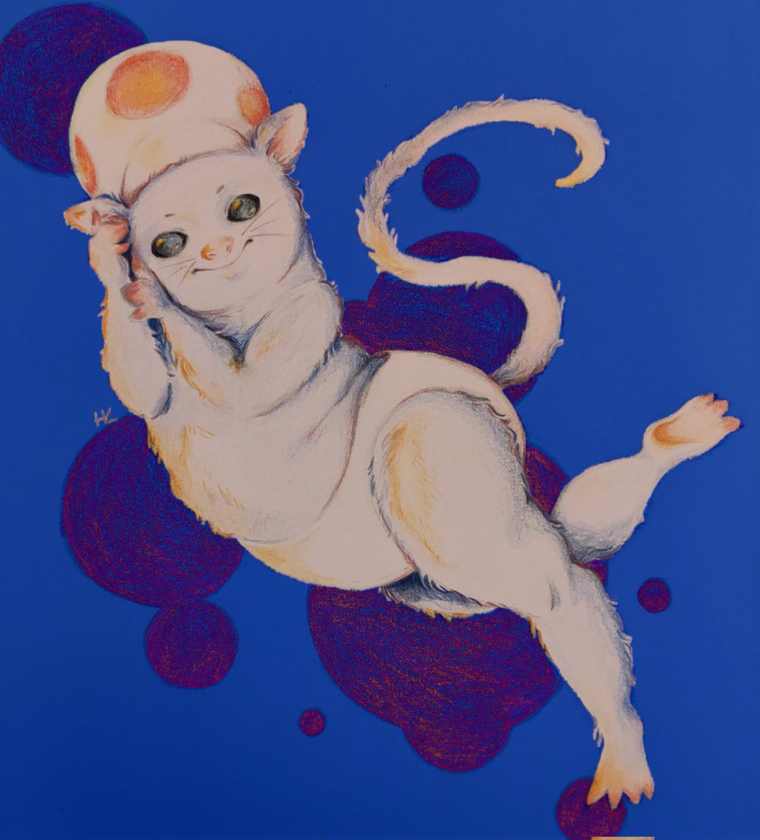 In honour of Todd from... Drawfee, here is Todd.
<a href="/DrawfeeShow/">Drawfee Show</a>