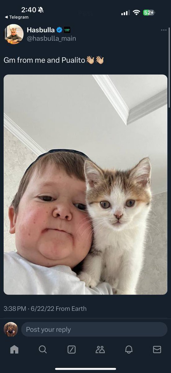 <a href="/cz_binance/">CZ 🔶 BNB</a> $palito is still here 

Your  best friend <a href="/hasbulla/"></a> beloved kitten