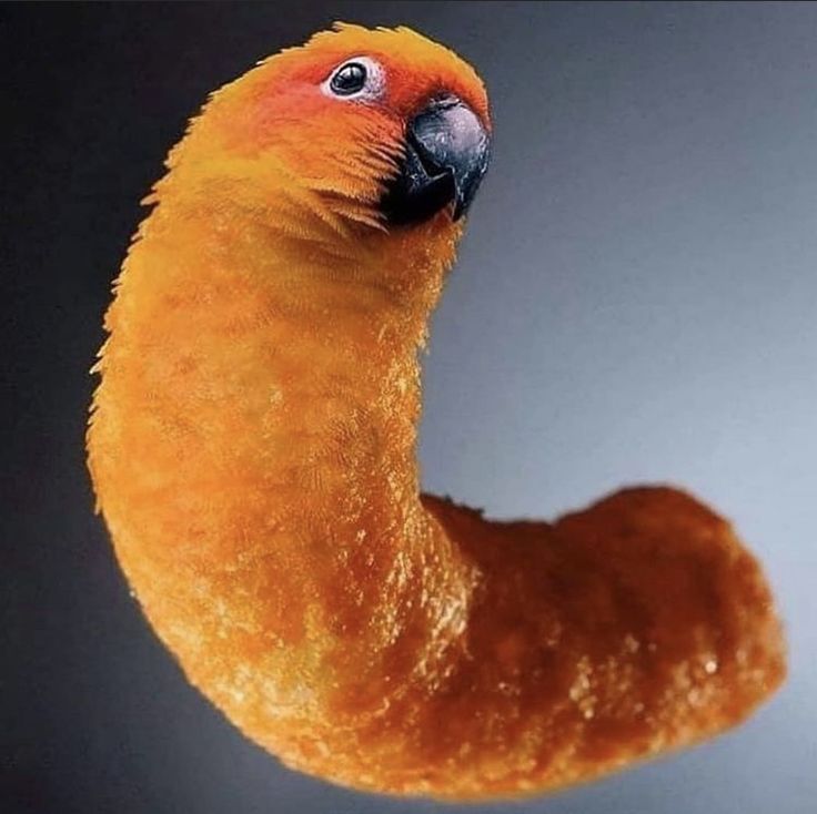 i like food tweet media