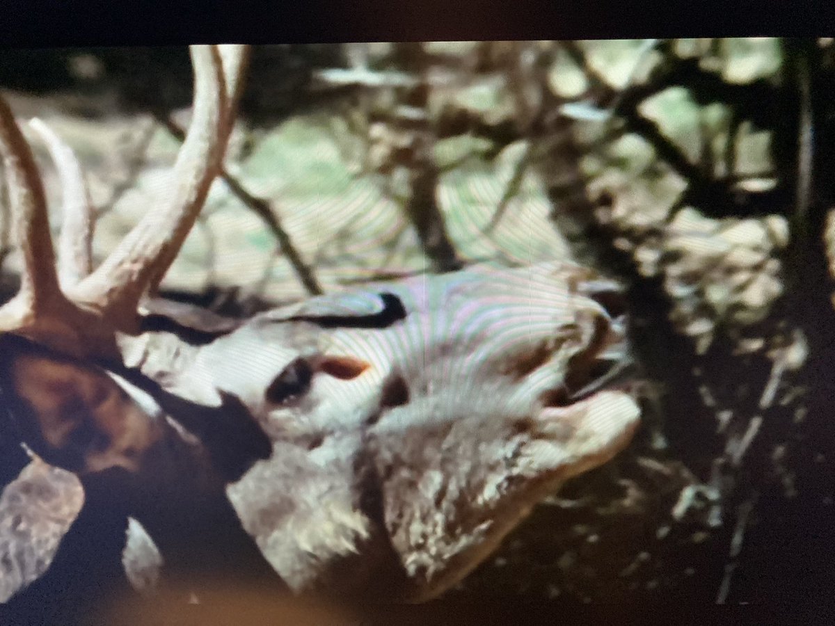 De largo, los mejores minutos de Televisión que he visto en muchos años.
#LaRevueltaTVE