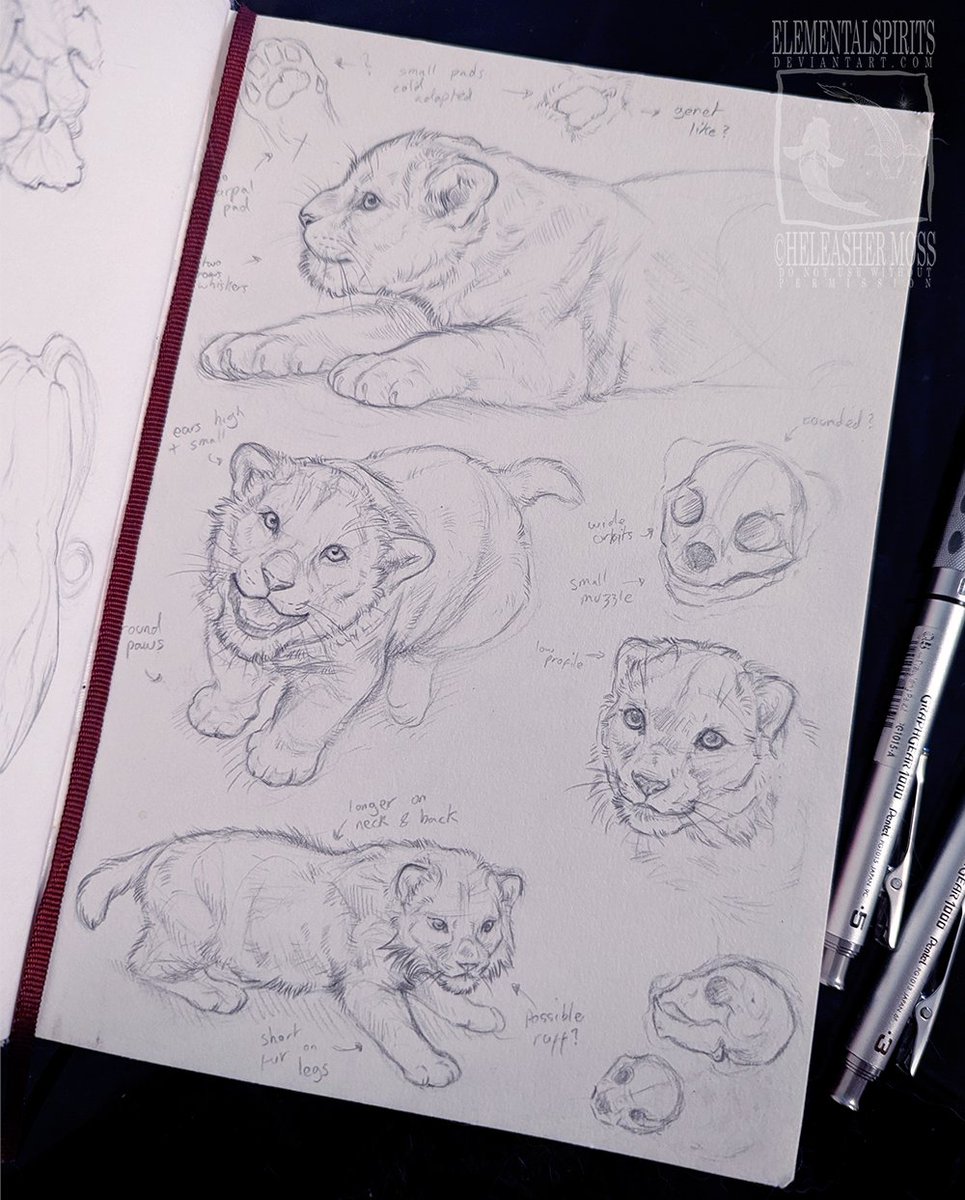 LeucisticLynx's tweet photo. I can't stop thinking about that little homotherium cub they found. https://t.co/IU96BGVBhB