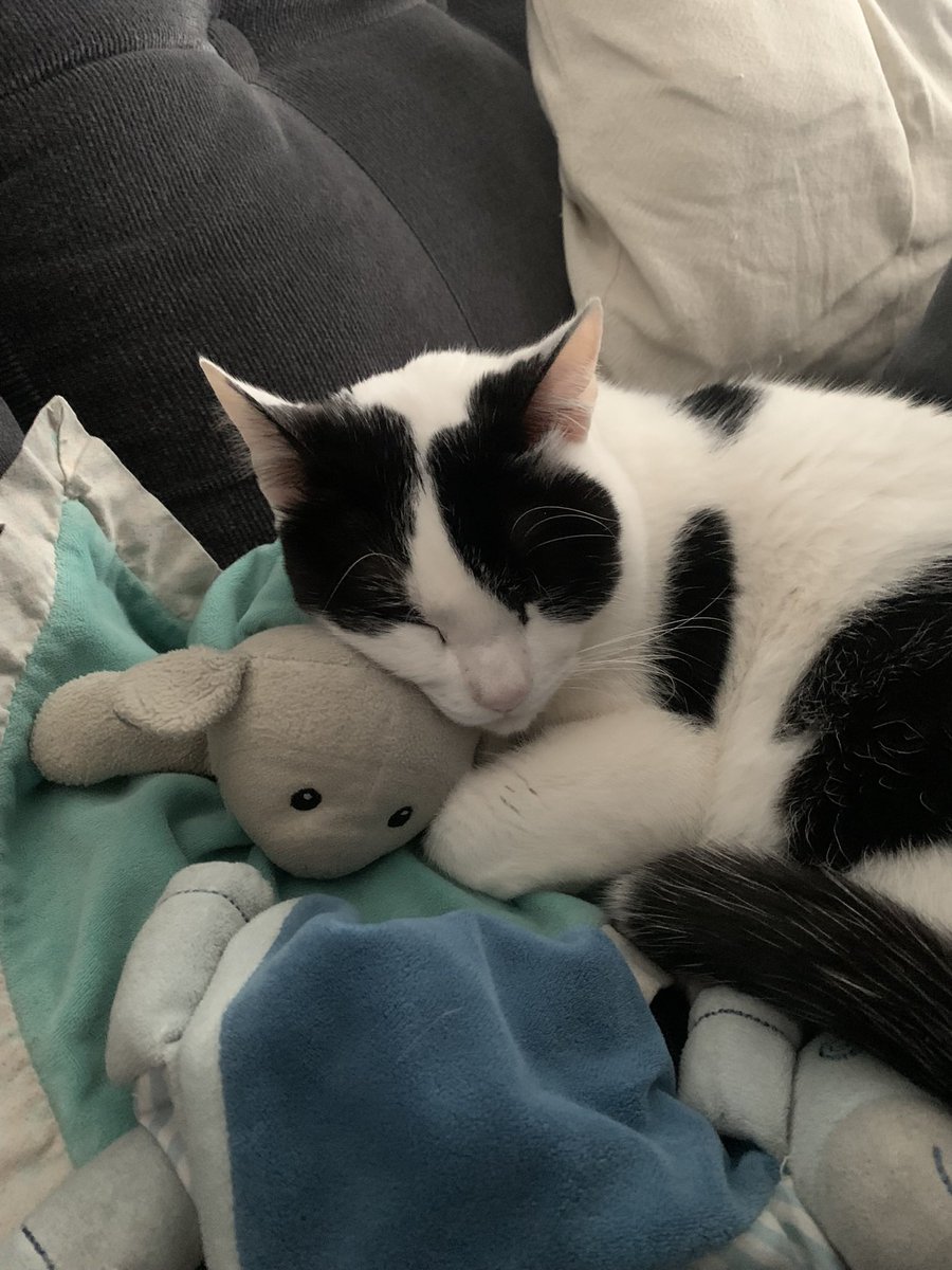 kieneson's tweet photo. @tomaspr__ Re maraca con muñeco de apego https://t.co/XOy0D7Gsvl
