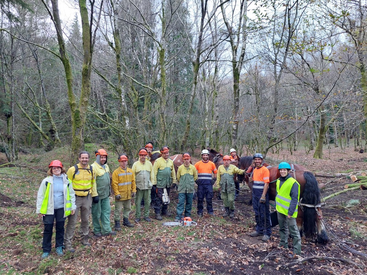 Artículo en el diario de la  <a href="/uvigo/">Universidade de Vigo</a> sobre nuestro trabajo en zonas estraegicas de gestión en Portugal en el proyecto <a href="/firepoctep/">Proyecto FIREPOCTEP+</a>+ 🔥 <a href="/poctep/">Interreg España-Portugal</a>
uvigo.gal/universidade/c…