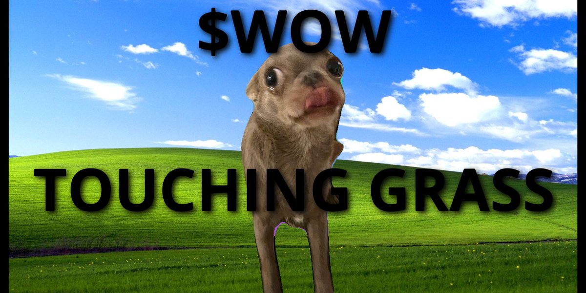 ChiWow Coin - $WOW tweet media