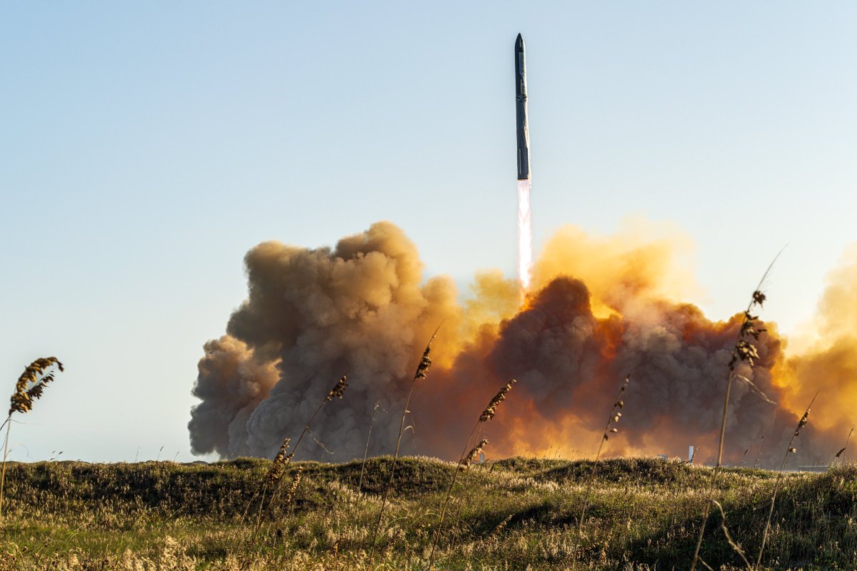 John Pisani tweet media