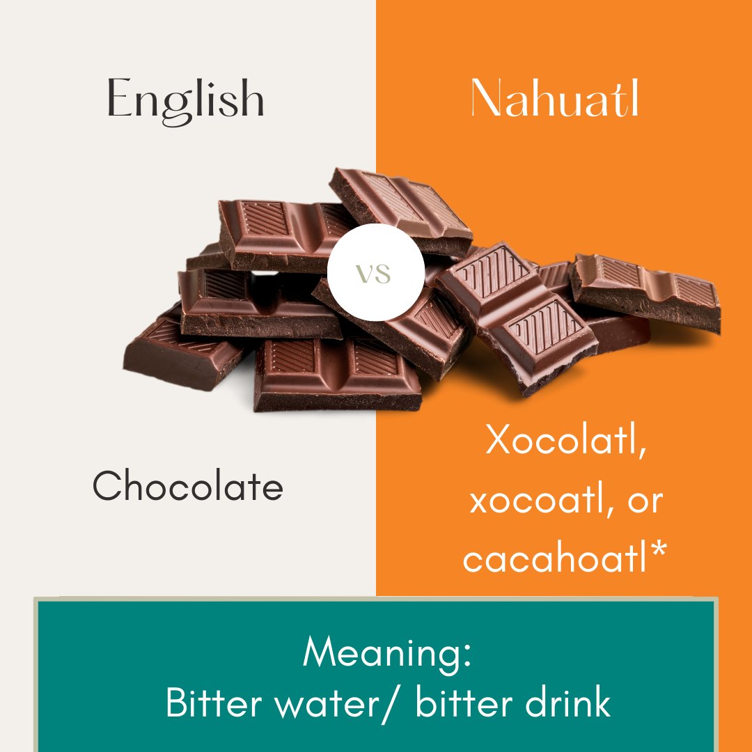 fluentcity's tweet photo. November is National National Native American Heritage Month! Here are just a few foods native to the Americas whose names we derive from indigenous languages. (There’s some disagreement about exactly which word inspired the word “chocolate.”) https://t.co/fOhwi2Sad1