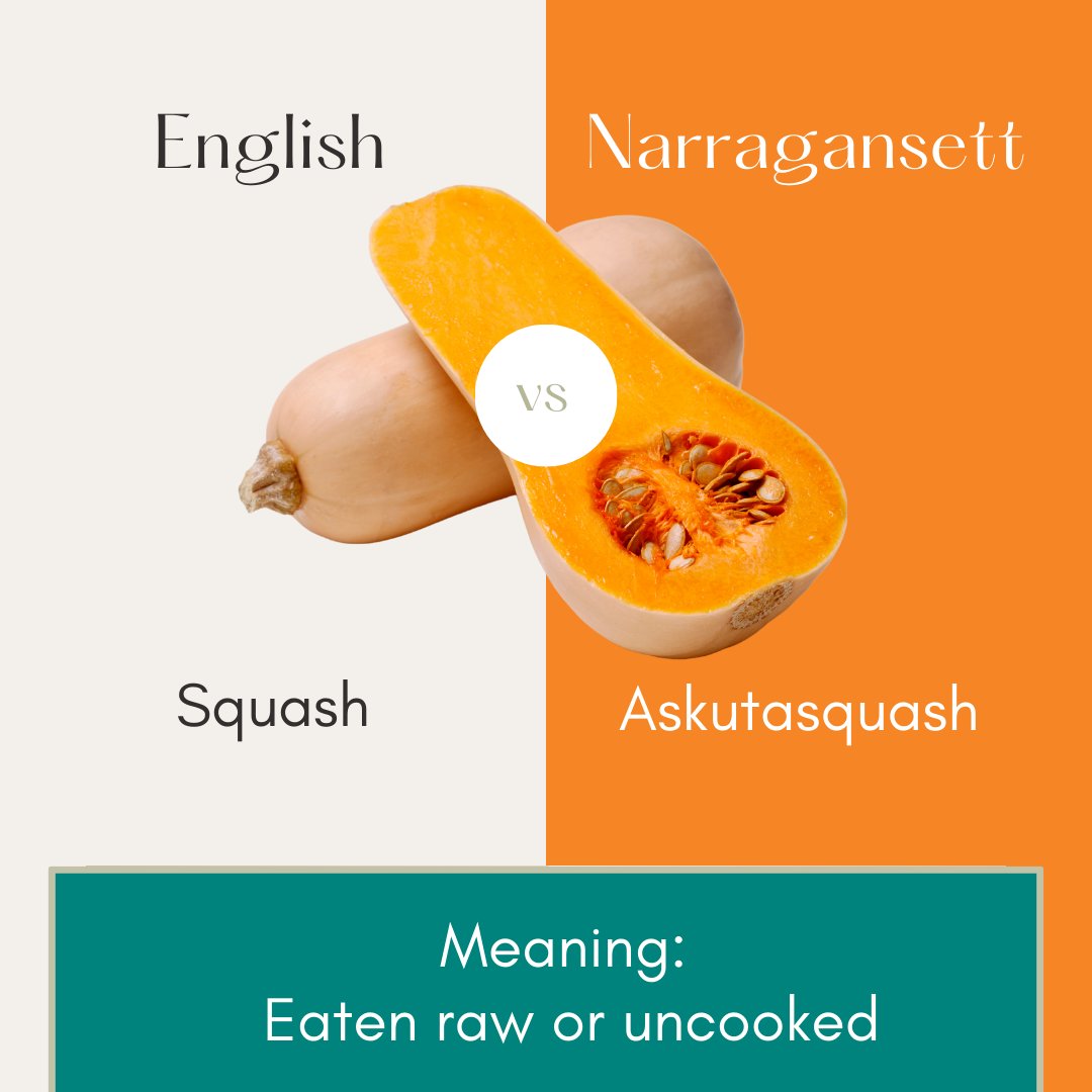 November is National National Native American Heritage Month! Here are just a few foods native to the Americas whose names we derive from indigenous languages. (There’s some disagreement about exactly which word inspired the word “chocolate.”)