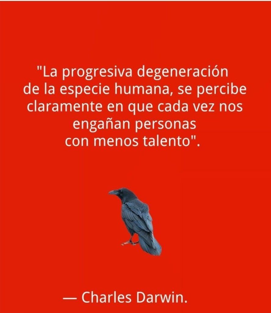 starbienatotxa's tweet photo. Gabon . Reflexión . Talento https://t.co/OMJisEFwEF