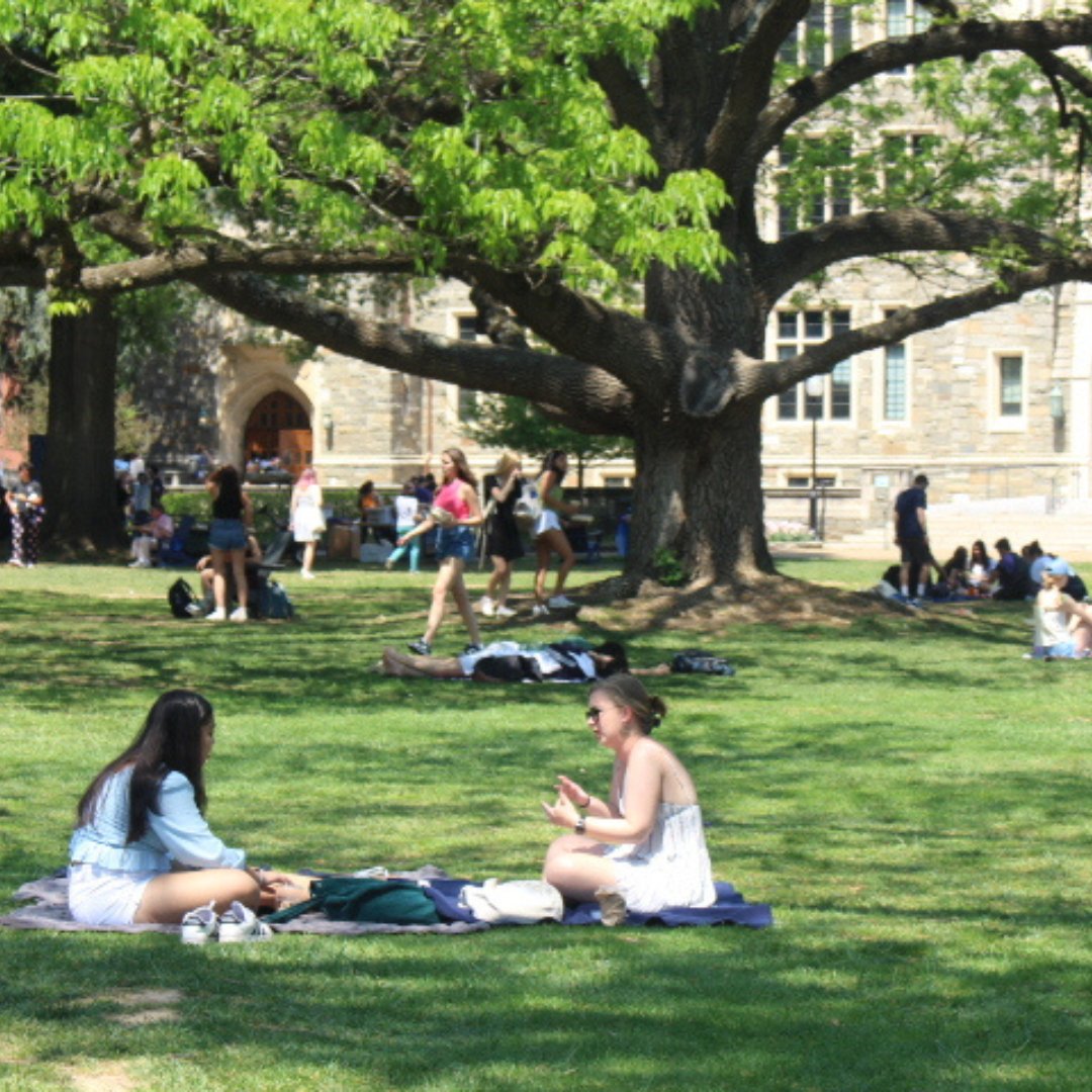 WeAreGUSummer's tweet photo. It's never too early to plan for the future. With Summer Sessions, you can catch up on credits or free up space in your schedule to study abroad 📚☀️

Our Enrollment Form opens in January 2025!

#summerhoya #georgetown #wearegusummer https://t.co/5U26N7dHcA