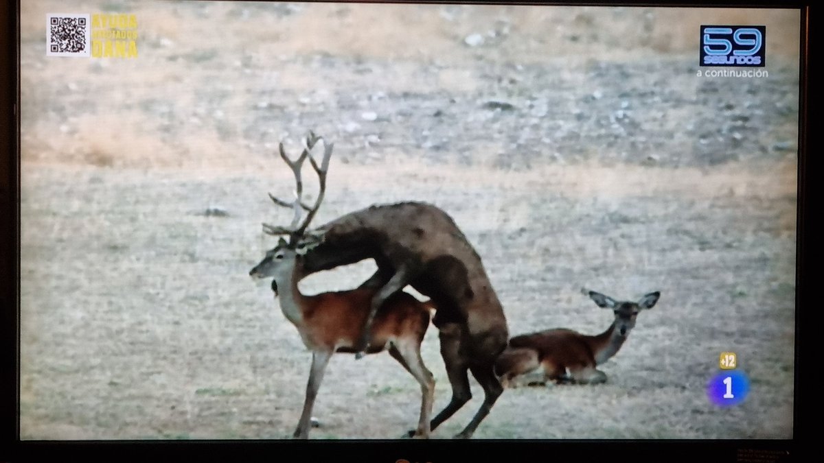 Brutal lo de la #LaRevuelta de hoy. 
Muy jefes.