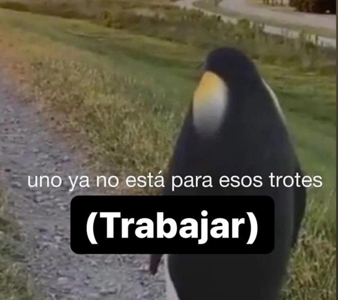 Frases Nocturnas (@frase3am) on Twitter photo 