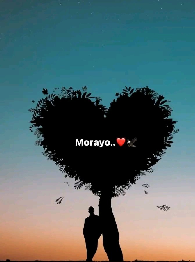 QudusEleniyan01's tweet photo. Patiently waiting for #MORAYOSzN
#Morayo https://t.co/WpshxE9amc