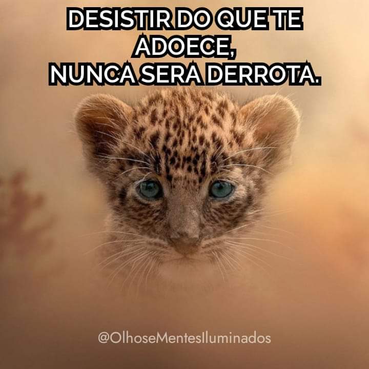 OMIuminados's tweet image. DESISTIR DO QUE TE ADOECE,
NUNCA SERA DERROTA.

#Desistir #adoecer #derrota