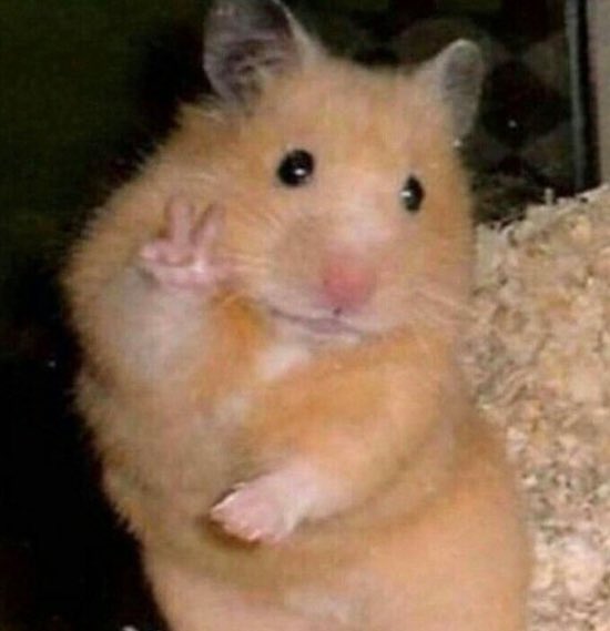 Maura and Richard in front of the other campmates vs Maura and Richard on their own #imaceleb #imacelebrity