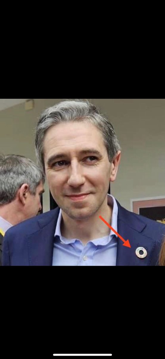 duzBme's tweet photo. No.6 Simon Harris getting more camp and effeminate due to the 18 different COVID’s he got when Irish Min Health. #GE24 Time for Real Change https://t.co/YEO6C1mD8d