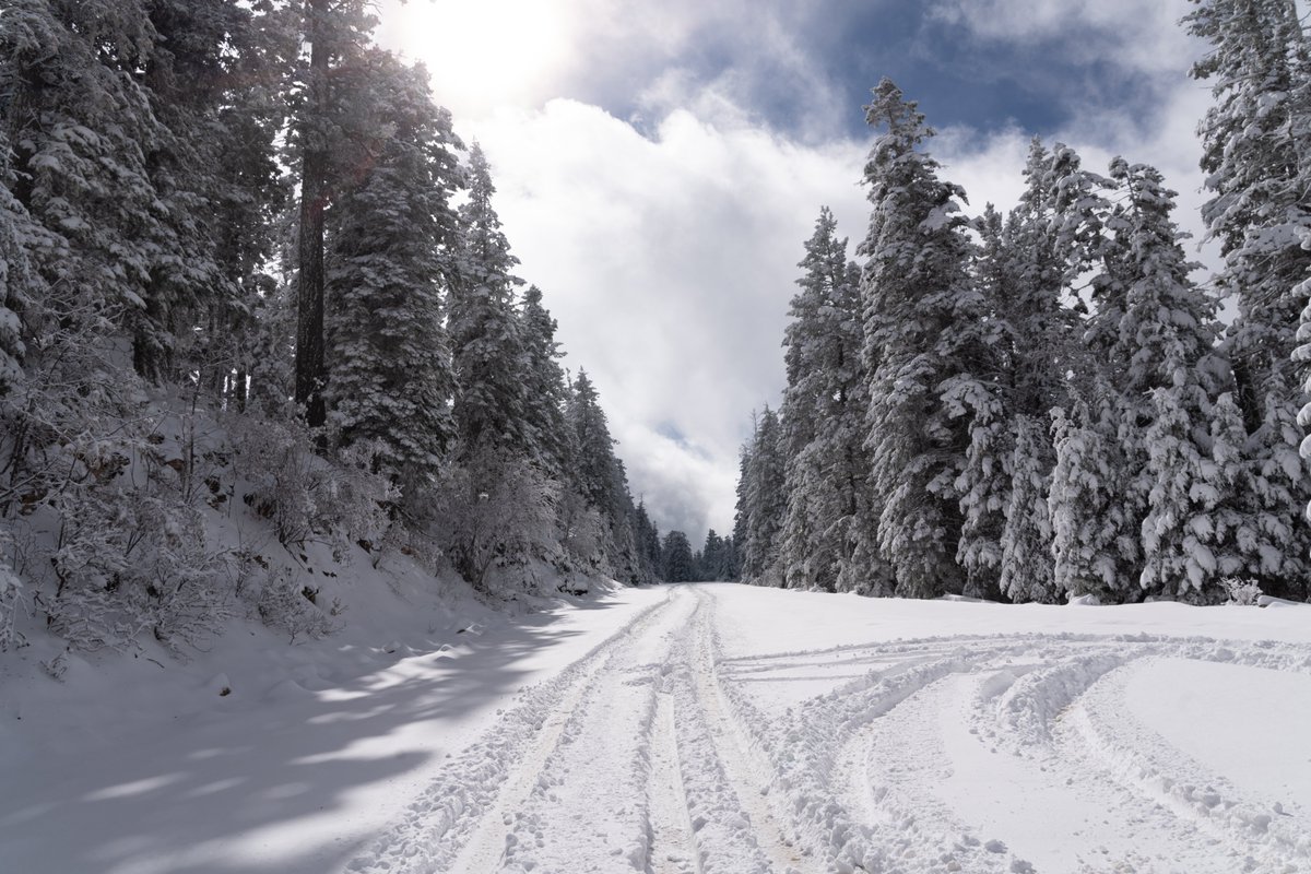 Lincoln_NF's tweet photo. Winter is here! ❄️ 

It is important to be prepared before heading out to enjoy the snowy landscapes of the Lincoln National Forest!

Check Conditions 
Prep Your Vehicle
Drive Slowly
Be Aware of Changing Conditions 
Mind the Cell Service

Enjoy your winter adventures! https://t.co/Z9qL7moupj