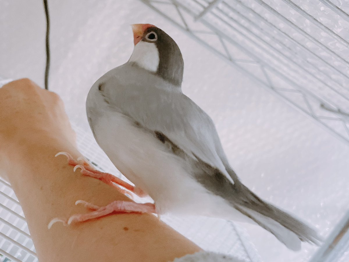 朝の、ぱすてるん🎵

ご機嫌さん♡♡

今日も頑張っていきまっしょい🍀
#buncho