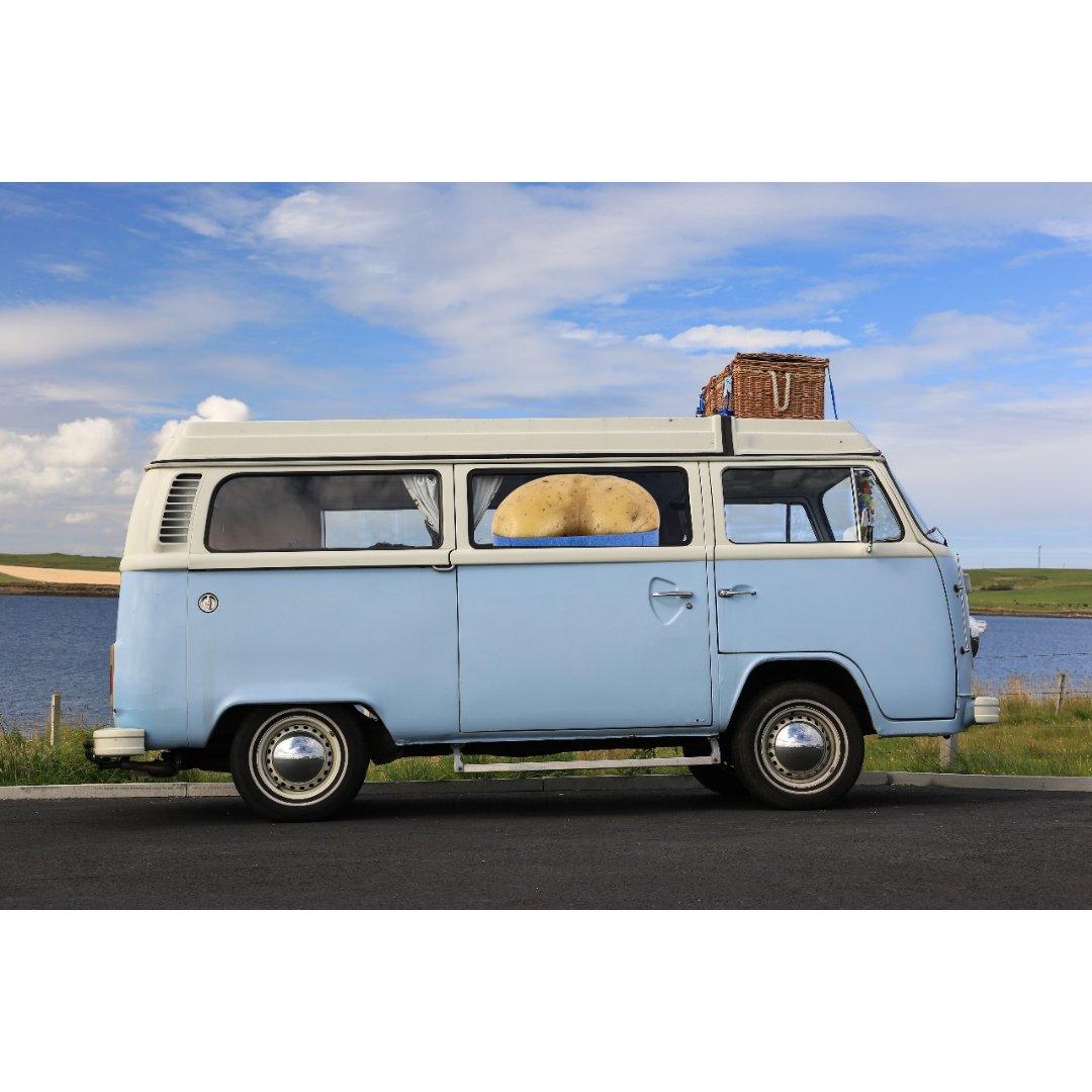 We had no idea #ButtTato would be mooning this hard! He must be on a road trip in his #vwbus. Get on board and join his adventures! $BTATO pump.fun/coin/25JaZFcz7…