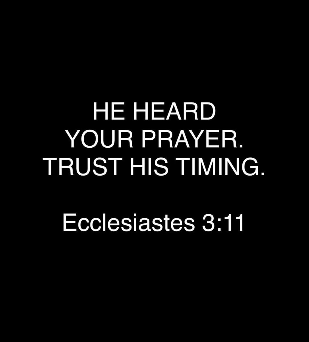 trustgodbrah's tweet photo. https://t.co/3ktUFxS512