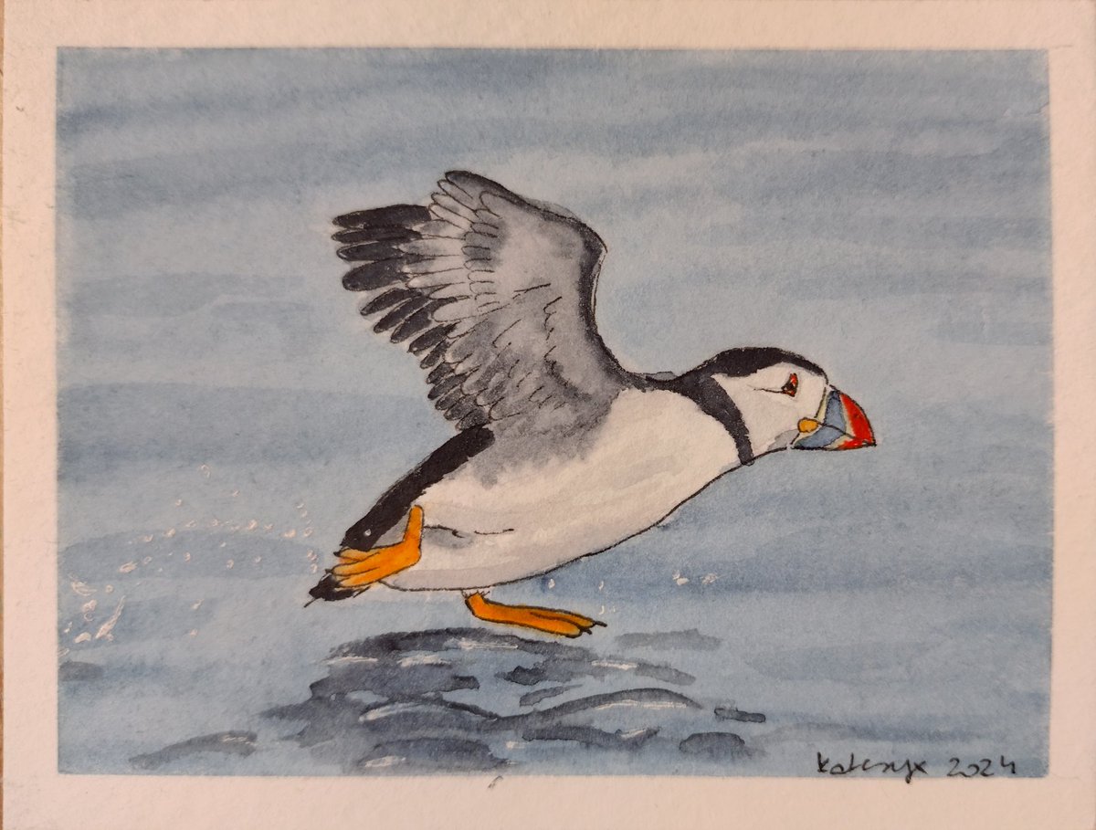 Christmas project, one of the mini originals for my colleagues, a #puffin from one of the pictures of <a href="/CarlBovisNature/">Carl Bovis</a>
