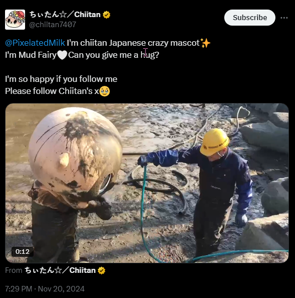 BRI tweet media