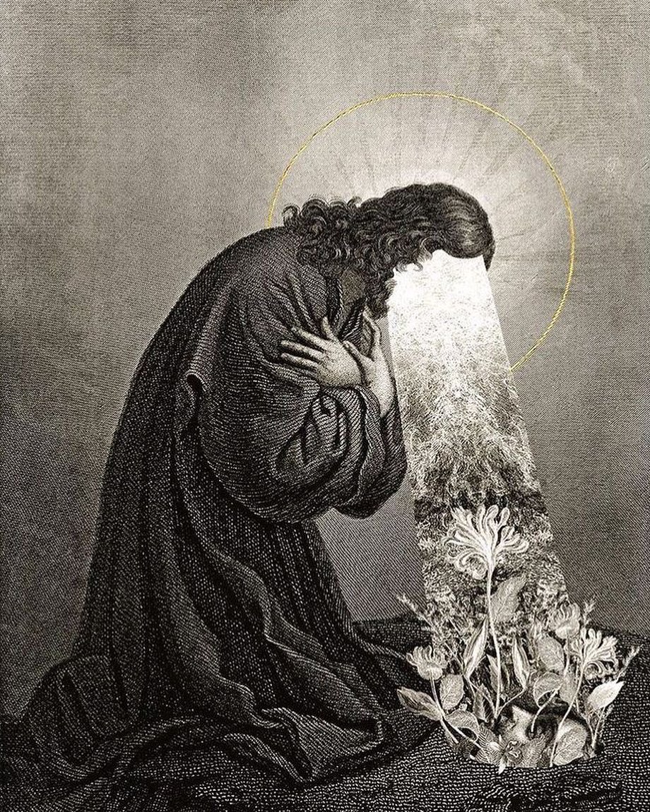 solisolsoli's tweet image. By Dan Hillier