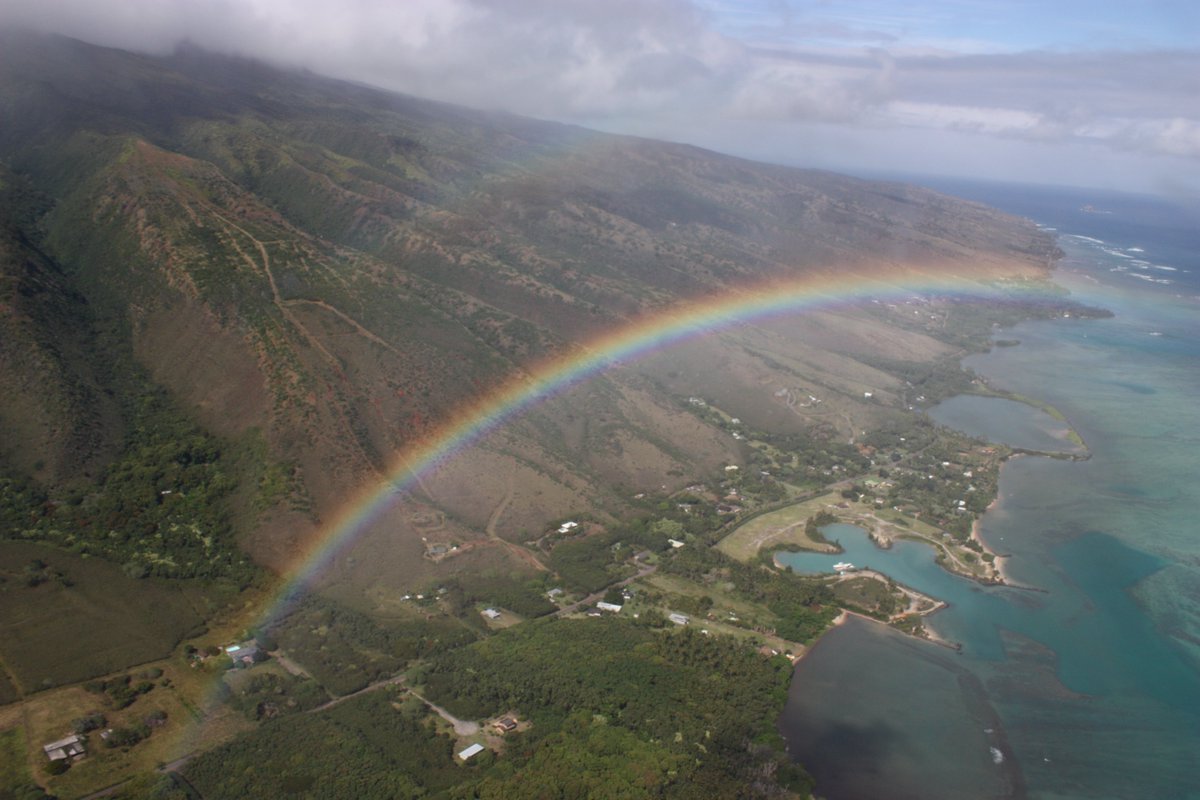 alan drummond tweet media