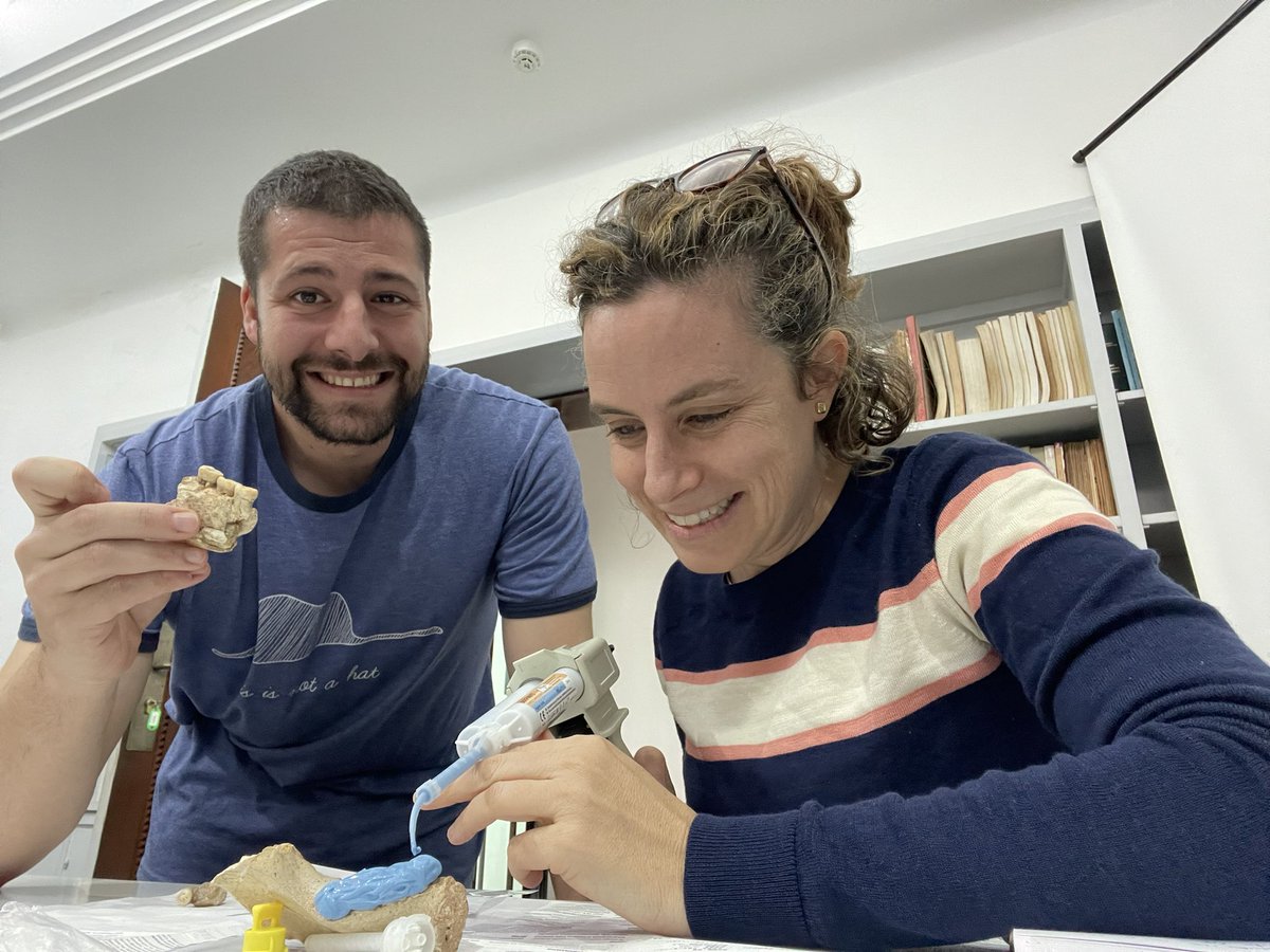 lauranthropus's tweet photo. Today we have a great sampling day in the #INSAP and in the Museé de l’Histoire et des Civilisations in #Rabat. Nice remains! 🦷 https://t.co/dVs7KCyfck