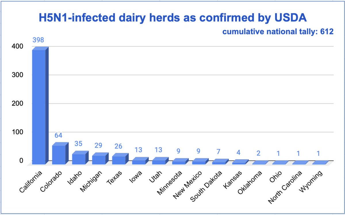 Helen Branswell 🇨🇦 (@helenbranswell) on Twitter photo .<a href="/USDA/">Dept. of Agriculture</a> confirmed 62 new #H5N1 #birdflu infected dairy herds in California today, bringing CA's total to just under 400 & the cumulative national total to 612.
That's 104 new herds in CA this week alone. Roughly 36% of the state's herds have now been infected. .<a href="/USDA/">Dept. of Agriculture</a> confirmed 62 new #H5N1 #birdflu infected dairy herds in California today, bringing CA's total to just under 400 & the cumulative national total to 612.
That's 104 new herds in CA this week alone. Roughly 36% of the state's herds have now been infected.