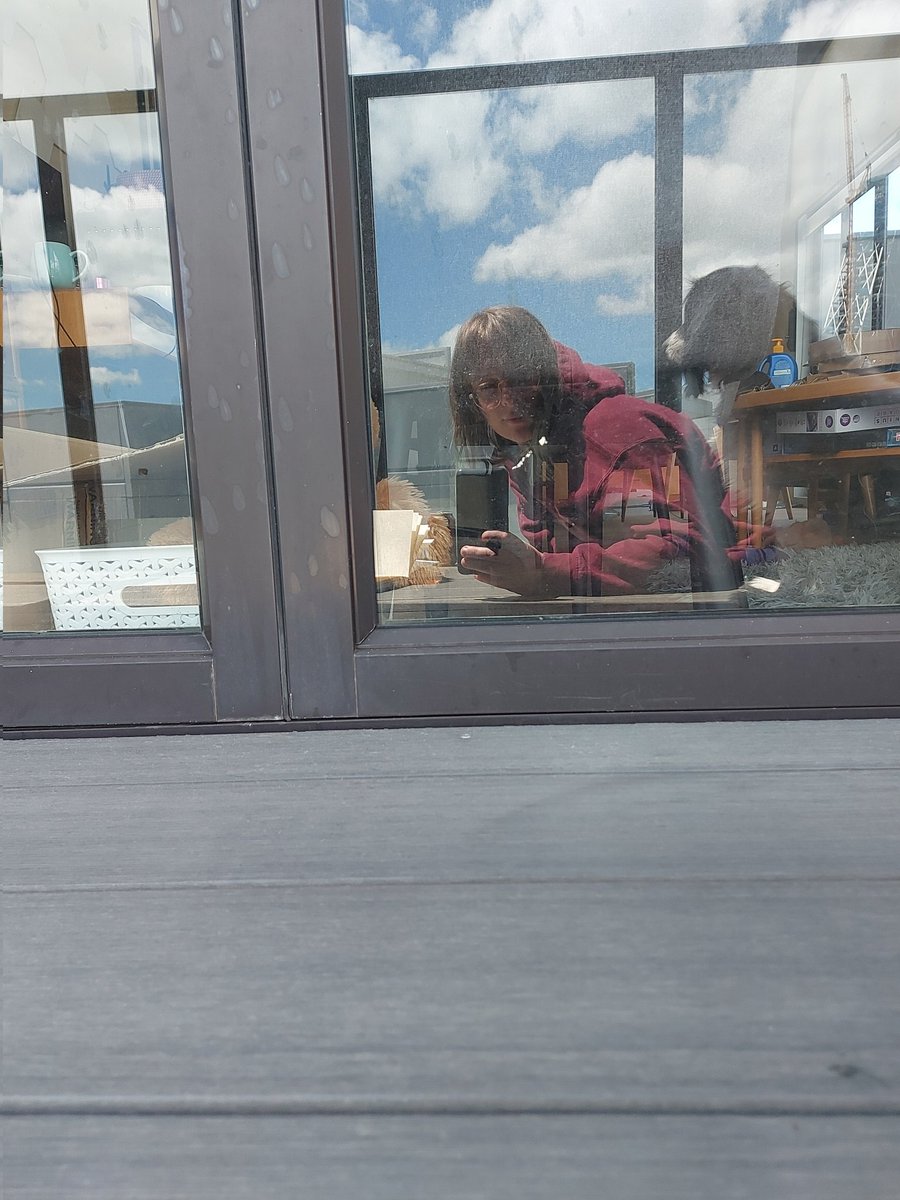 Alexa 💫 tweet media