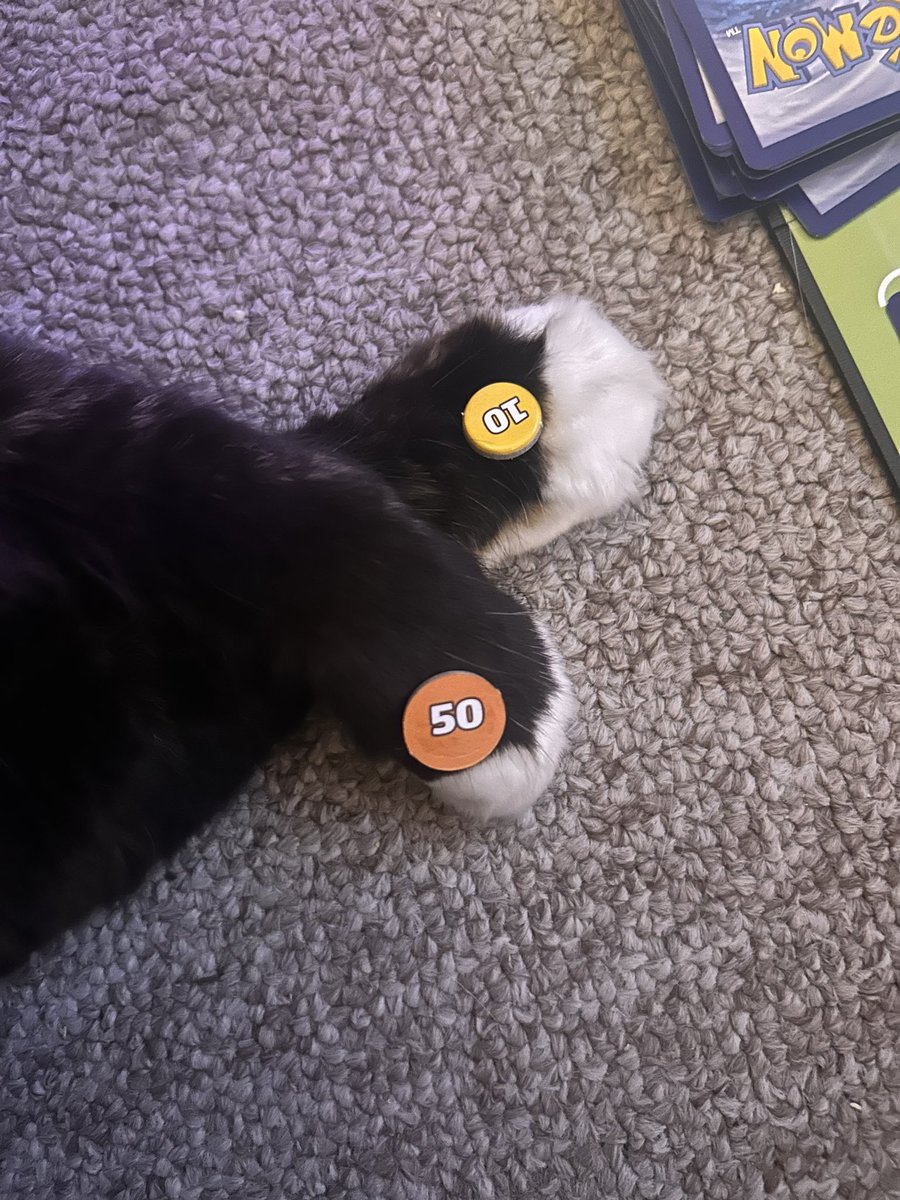 60 damage to tofu 😩 #PokemonTCG