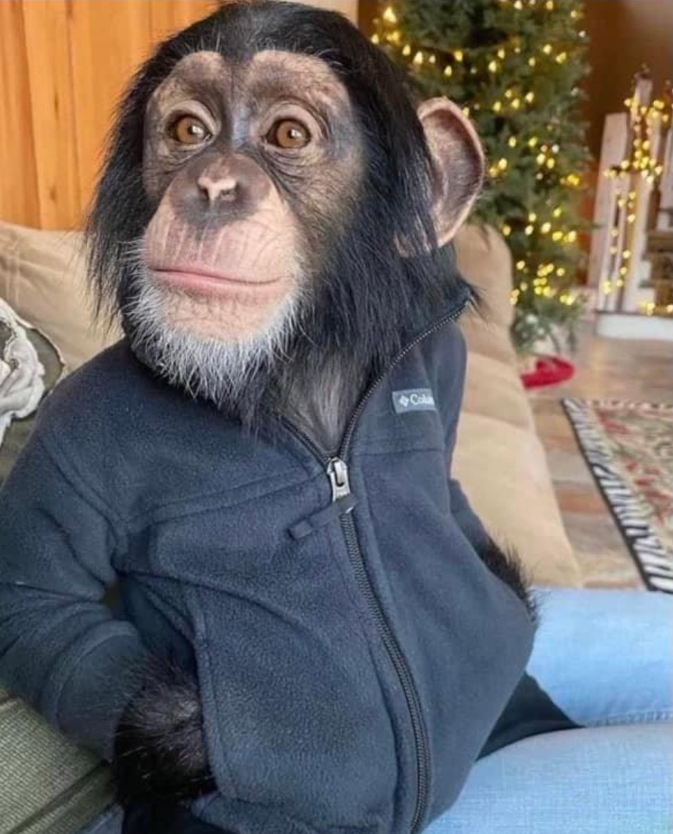 this how the cold weather got me