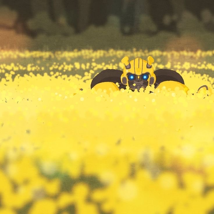 𝓑𝓾𝓶𝓫𝓵𝓮𝓫𝓮𝓮 (@scouttowarrior) on Twitter photo 