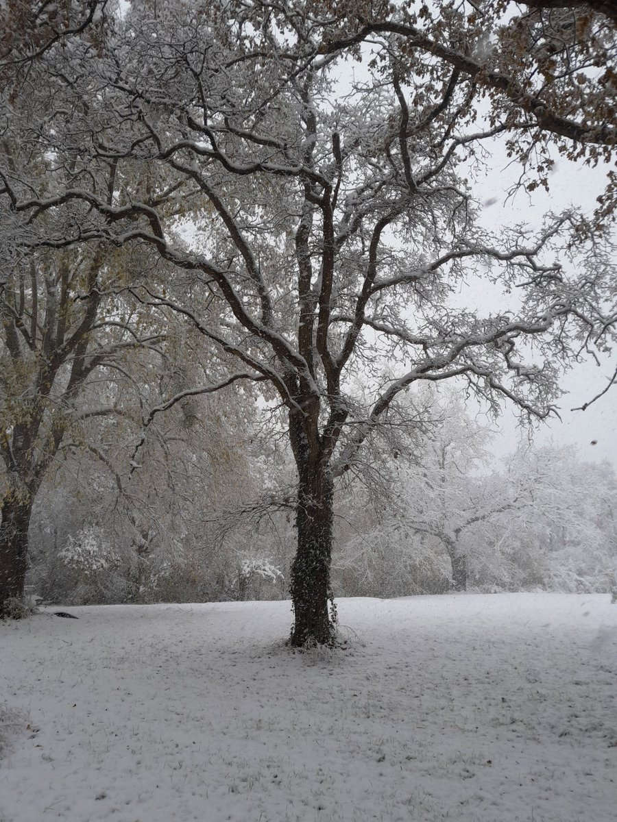 bsost_Brendon's tweet photo. @theluthier63 Snow ici https://t.co/6j0NZviQSP