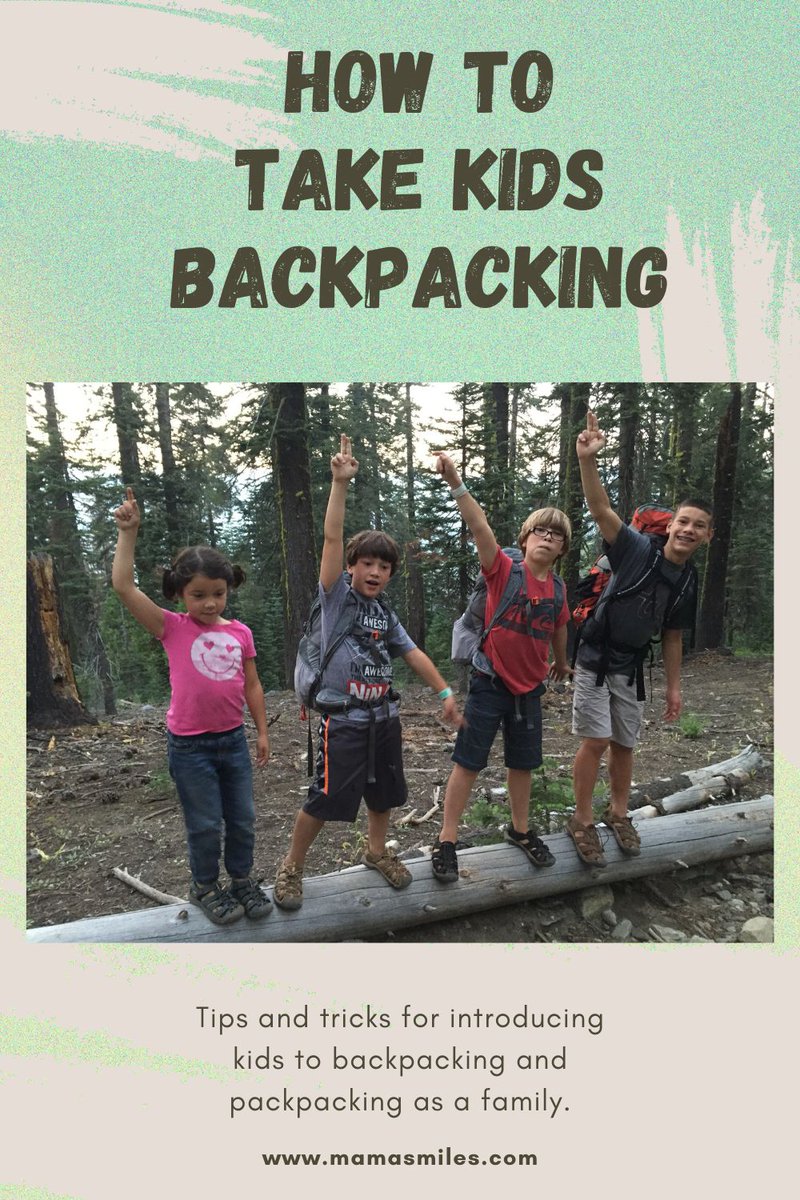 MaryAnne tweet media