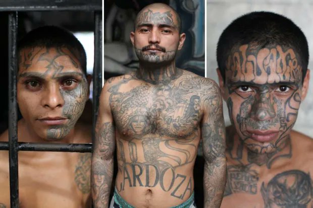 Retro Coast tweet media