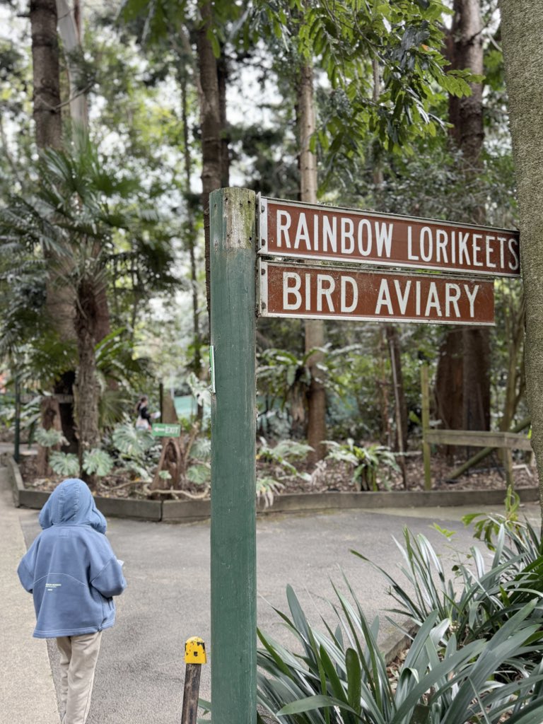 Nouraalmgren's tweet photo. • Koala Park •
حديقة حيوانات  صغيره خفيفه ماتحتاج وقت طويل ، تقدرون تخدلون عند الكنغر و تاكلونه و تلمسونه .. https://t.co/o9agXupYaz