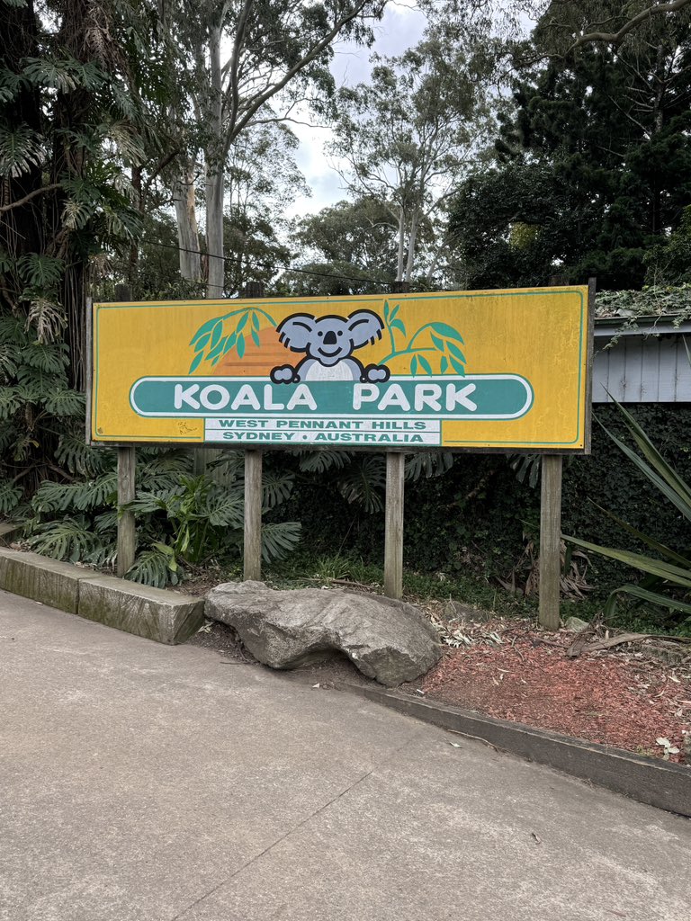 Nouraalmgren's tweet photo. • Koala Park •
حديقة حيوانات  صغيره خفيفه ماتحتاج وقت طويل ، تقدرون تخدلون عند الكنغر و تاكلونه و تلمسونه .. https://t.co/o9agXupYaz