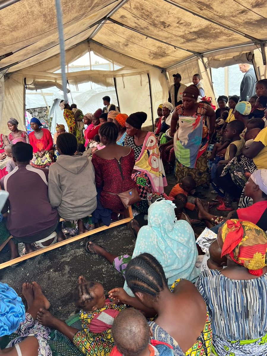 Sweden in DR Congo tweet media