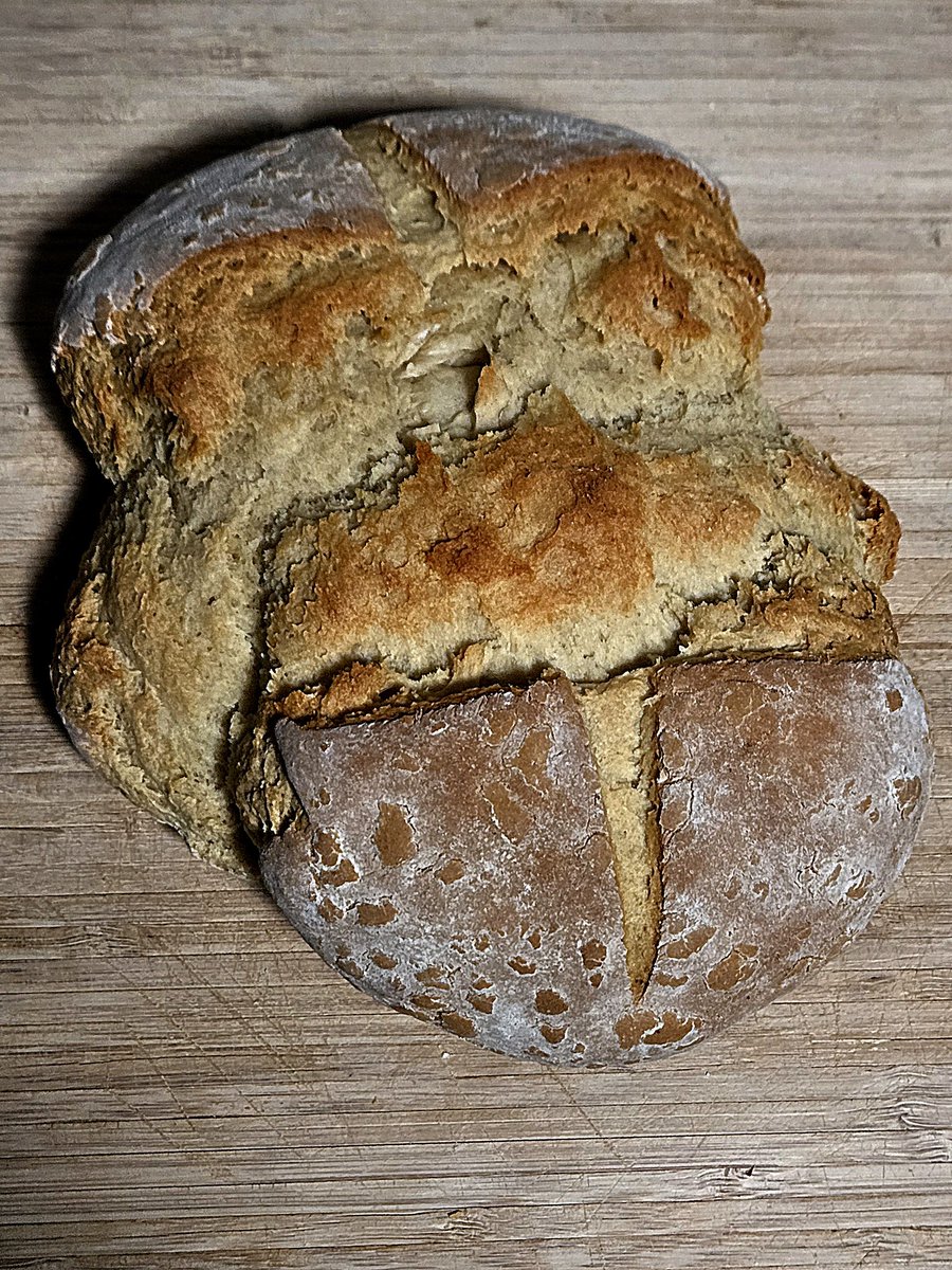 EstelaWildEd's tweet photo. I have always been more of a cook than a baker. I self-imposed a challenge to bake more bread this fall. Here is a simple peasant loaf that turned my tenderloin from yesterday's hunt into a perfect Sammie. #moist #crusty #breadmaker #survivalkitchen #DIY #homemade https://t.co/irXsAWKXKw