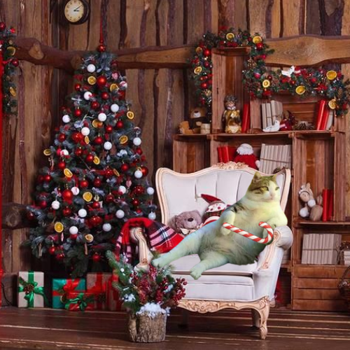 ChillCat_CTO's tweet photo. Telling Santa I want more $CHILLCAT 🐱 https://t.co/NGZNIdBR0J