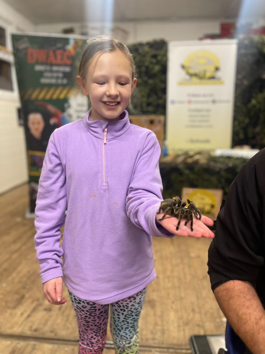 Going wild on our last evening - meeting a wide variety of wonderful creatures.