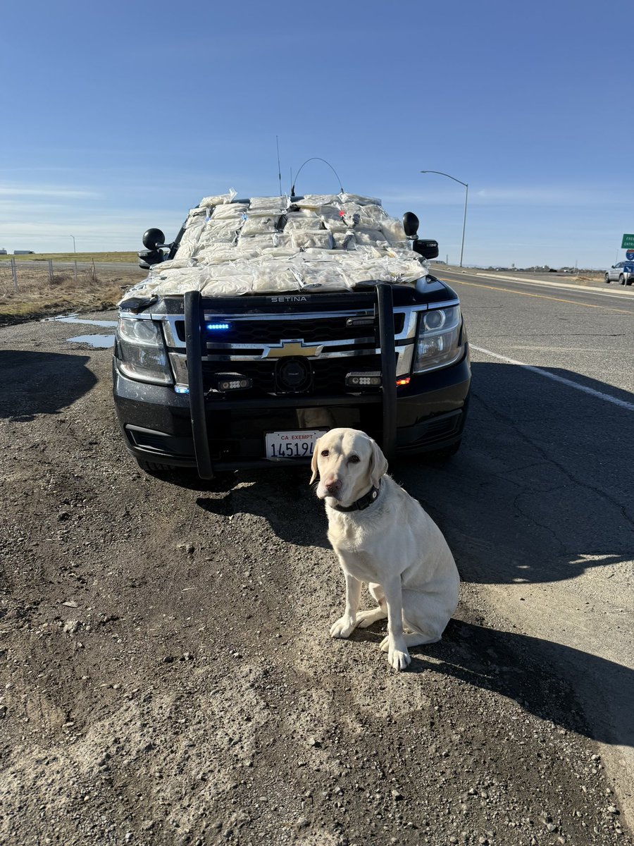 sacsheriff's tweet photo. On Saturday, DHE detectives assigned to REACT were working highway enforcement in the County of Sacramento when they observed a Toyota Camry commit traffic violations.  Detectives conducted a traffic stop, and El Dorado County Sheriff’s narcotics-trained K9 Toby (also assigned to REACT) alerted investigators to the odor of narcotics.  A subsequent search of the car yielded multiple after-market hidden compartments beneath the floor of the vehicle.  The hidden compartments concealed several vacuum-sealed packages of crystal methamphetamine, weighing a total of 121 pounds.  34-year-old Fernando Garcia of El Monte, CA was arrested and booked into the Sacramento County Main Jail on charges related to narcotics trafficking. 
 
The case was turned over to Sacramento Sheriff’s Detectives assigned to the Sacramento Area Intelligence Narcotics Team (SAINT) and the California Multi-Jurisdictional Methamphetamine Enforcement Team (Cal-MMET).
 
REACT is a collaborative initiative that includes the Sacramento Sheriff’s Office, the California Highway Patrol, the Placer County District Attorney’s Office, and the El Dorado County Sheriff’s Office.
@CHP_Valley 
@PlacerCountyDA 
@ElDoradoSheriff