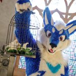 Photo by 狄倫 Dylan (@DylanAMWolf)