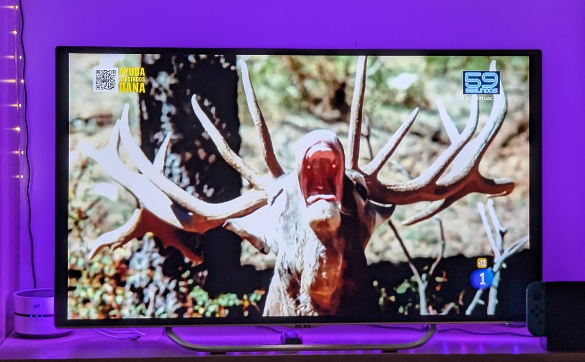 Albaasecas's tweet photo. @El_Hormiguero https://t.co/5JBTMfCVsJ